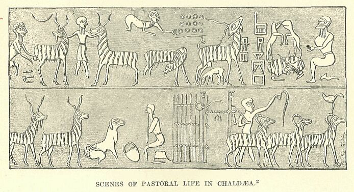 329b.jpg Scenes of Pastoral Life in Chalda. 
